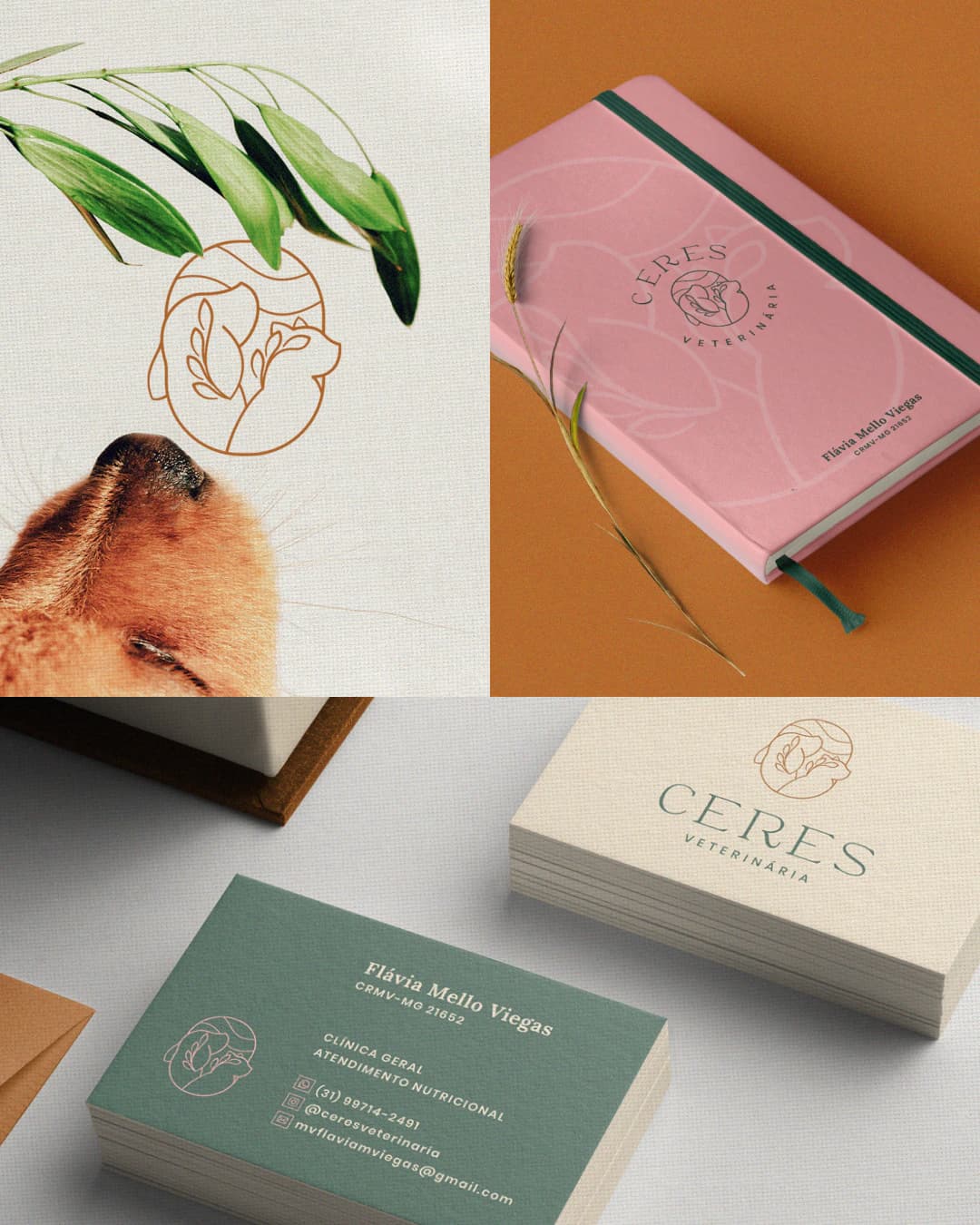 Identidade visual da marca Ceres Veterinária